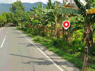 Tanah zona industri jalan utama pelabuhan Celukan bawang buleleng