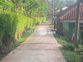 Jual Kavling Perkebunan Pinggir Jalan Desa Padaluyu Cugenang Cianjur Jawa Barat