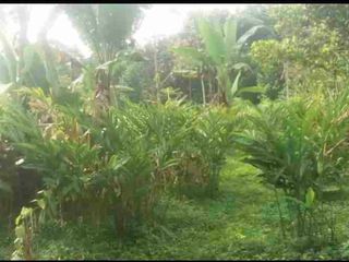 Di jual tanah darat sangat cocok untuk villa dan investasi masa depan.di jual harga di bawah pasaran.