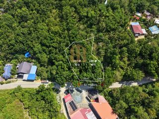 Lot for Sale - 2 Titled Lots Along Provincial Road - Cortes, Bohol