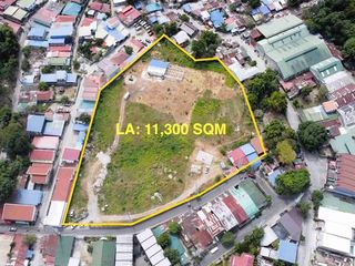 Raw land for sale