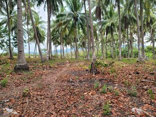 Spacious Agricultural lot for Sale in Carmen , Cebu