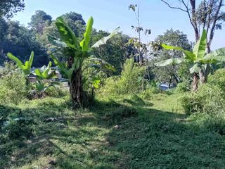 di jual lahan kebun murah sudah terpasang listrik akses mobil di Cidahu sukabumi