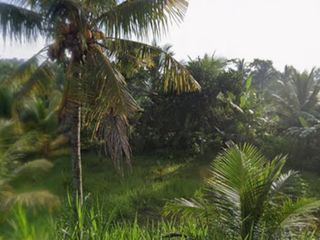 Dijual Tanah Tibubeneng Canggu Kuta Utara Siap Bangun Hunian