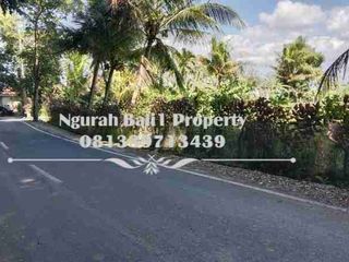 Tanah Premium Disewakan Luas 4  Are View Sawah Kawasan Villa di Ubud