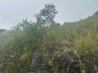 Below Market Value! Pinewoods Baguio, 784 sqm. Upslope Lot, Baguio City