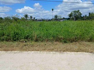 Jual Tanah 2 Hektar di Kota Sorong Km.14 Dekat Kantor Gubernur
