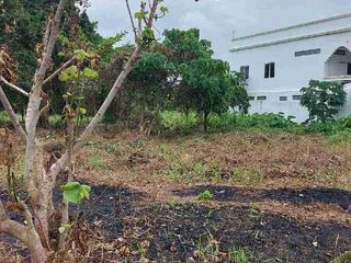 TITLED RESIDENTIAL LOT FOR SALE | DON PEDRO, BOGO CITY