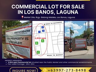 LOT FOR SALE IN LOS BANOS, LAGUNA