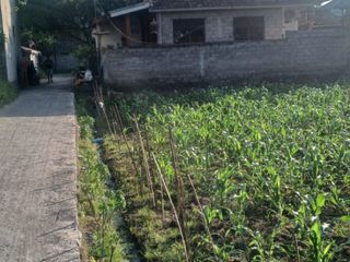 Dijual Tanah Sedap Malam Kesiman Denpasar Timur Cocok untuk Rumah Tinggal dan Kos