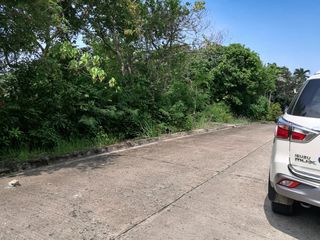 Luxury Residential Lot for Sale in Maria Luisa Estate Park, Banilad, Cebu City