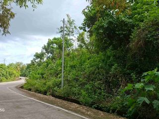 4HECTARES CONSOLIDATED LOT in Daanbantayan, Cebu