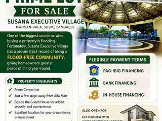 SUBIC CORNER PRIME LOT FOR SALE