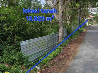 Jual tanah 139,2 are di sebelah PATUNG GWK dekat hotel Four Point, Ungasan Kuta selatan Bali