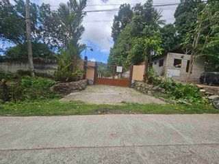 Premium 2–3 Super Subdivision Lots for Sale — Upper Apolong, Valencia, Negros Oriental | Highland Character | Clean Title