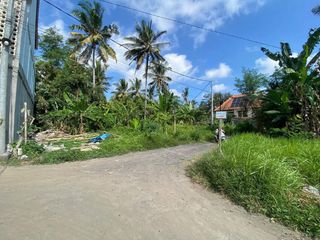 Dijual Tanah Lodtunduh Ubud Cocok Bangun Villa bisa Nego
