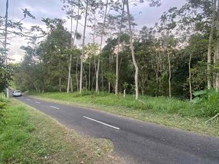 jual tanah Taro payangan dekat Ubud