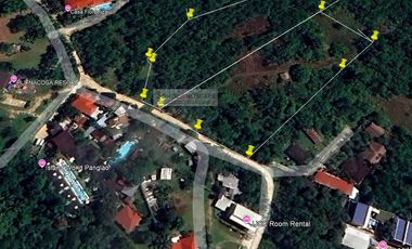 14,345 SQM Prime Commercial Lot for Sale in Tawala, Panglao Island, Bohol