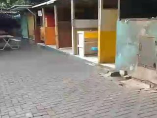 Disewakan Lahan 1200m² Di Jagakarsa Jaksel
