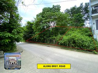 For Sale Residential Lot in Brgy. San Jose Talamban Area Cebu City
