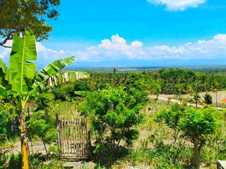 Lot For Sale in Bugho Moalboal