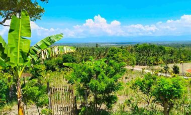 Lot For Sale in Bugho Moalboal