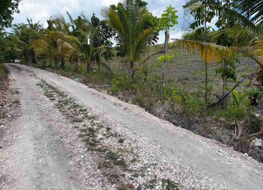 place photo 10