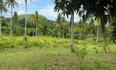 Affordable Farmlot For Sale in Tubod Dugoan Dumanjug