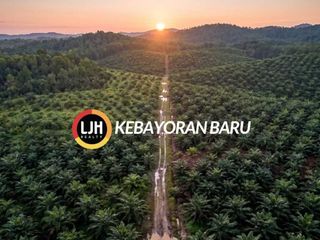 THE 300B MOROWALI STRATEGIC ACQUISITION: 725 HECTARES OF HIGH-YIELD RAW DOMINANCE