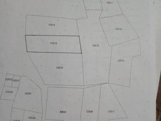 Dijual Tanah Di Gang Asyifa Pabuaran - Gunung Sindur