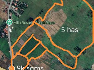 Agricultural Lot for Sale in Melaines Naic, Cavite