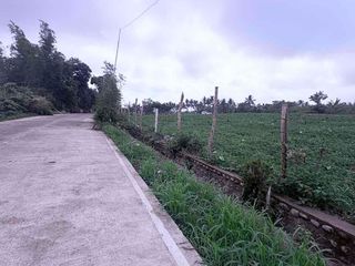 Lot Area  4,537 sqm Farm Lot for Sale Brgy .San Fernando Talisay Negros Occidental