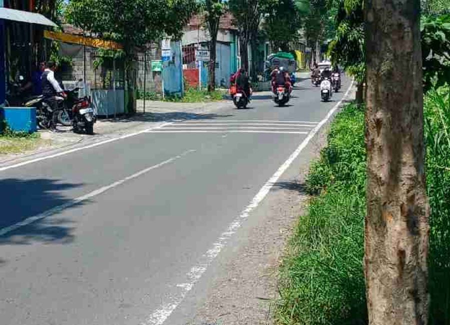 place photo 4