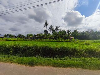 Dijual Tanah Pertanian Lingkungan Tenang area Persawahan di Taman Ujung, Karangasem.