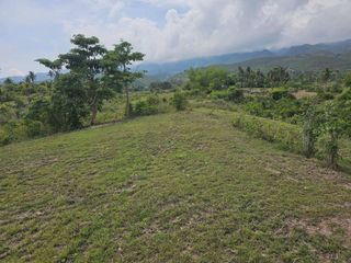 22,704 sqm clean title for sale overlooking in Badian Cebu Philippines