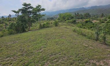 22,704 sqm clean title for sale overlooking in Badian Cebu Philippines