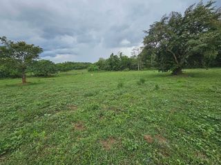 🌿 2 HECTARES CLEAN TITLE FARM LOT FOR SALE – DANAO, BOHOL, PHILIPPINES 🌿