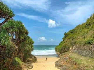 TANAH PANTAI GUNUNGKIDUL
