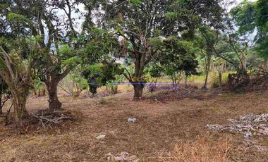 PRIME COMMERCIAL LOT FOR SALE IN TAGAYTAY CITY