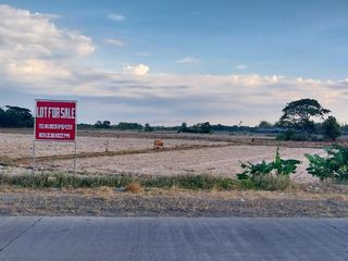 Pakiad Oton Agricultural Lot for Sale
