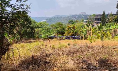 PRIME COMMERCIAL LOT FOR SALE IN TAGAYTAY CITY