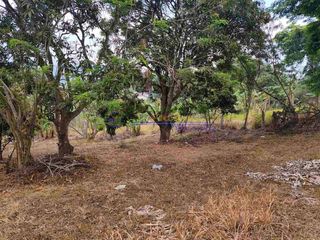PRIME COMMERCIAL LOT FOR SALE IN TAGAYTAY CITY