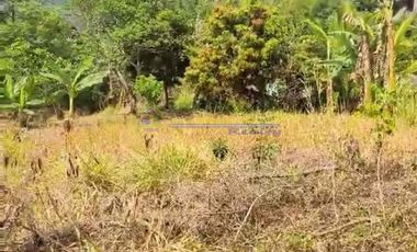 PRIME COMMERCIAL LOT FOR SALE IN TAGAYTAY CITY