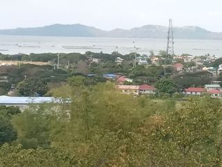 For Sale: Agricultural Lot in Sitio Dampol Pililla, Rizal