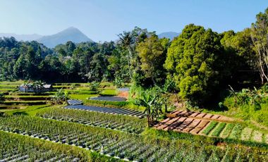 Dijual Tanah Bisa Beli Sebagian di Kampung Wisata Tajur Purwakarta