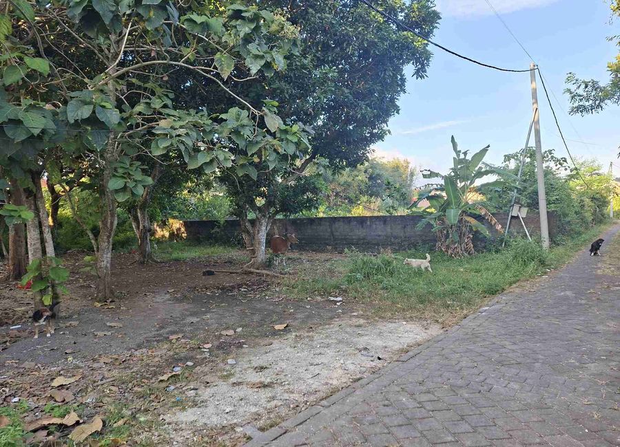 place photo 3