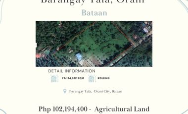 FOR SALE: Agricultural Land in Orani, Bataan Philippines