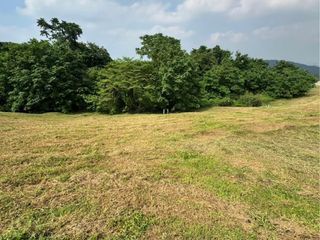 Ayala Greenfield Estate | Residential Lot For Sale - #10129