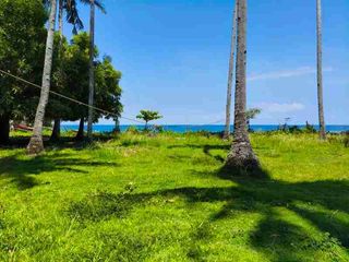 For Sale Titled 3,257 square meters Beachfront Property in Boljoon Cebu