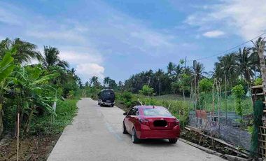 1000sqm Farm Lot Very Near Tagaytay